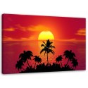 Obraz na płótnie, Zachód słońca i palmy - 60x40