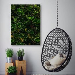 Obraz na płótnie, Zielone liście egzotycznych roślin - 60x90