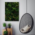Obraz na płótnie, Zielone liście egzotycznych roślin - 70x100