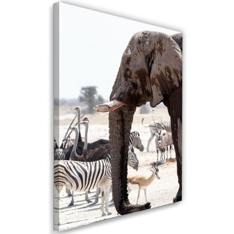 Obraz na płótnie, Zwierzęta na sawannie - słoń zebry strusie antylopy - 60x90