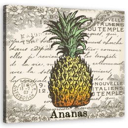 Obraz na płótnie, Ananas vintage - 50x50