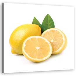 Obraz na płótnie, Owoce cytryna - 40x40