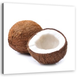 Obraz na płótnie, Owoce kokos - 50x50