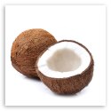 Obraz na płótnie, Owoce kokos - 50x50