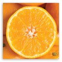 Obraz na płótnie, Pomarańcza makro - 40x40