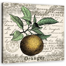 Obraz na płótnie, Pomarańcza vintage - 30x30
