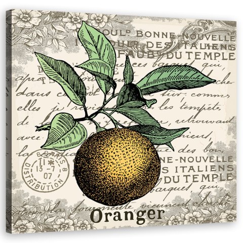 Obraz na płótnie, Pomarańcza vintage - 50x50