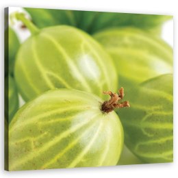Obraz na płótnie, Agrest owoce - 50x50