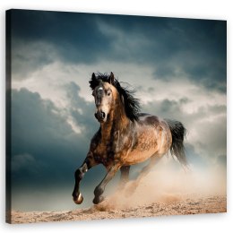 Obraz na płótnie, Galop konia - 30x30