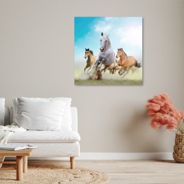 Obraz na płótnie, Galopujące konie - 30x30