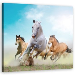 Obraz na płótnie, Galopujące konie - 40x40