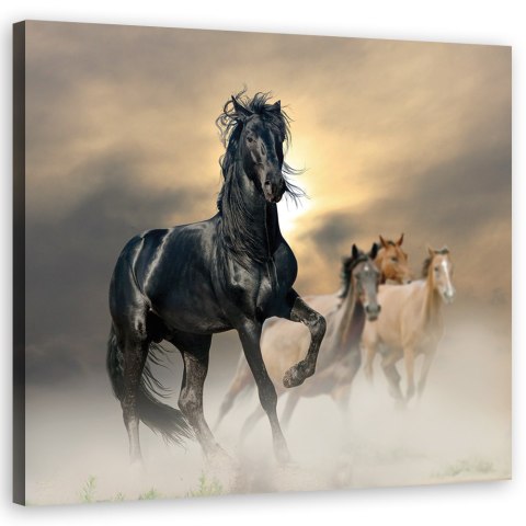 Obraz na płótnie, Stado koni - 50x50