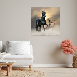 Obraz na płótnie, Stado koni do salonu - 50x50