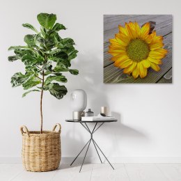 Obraz na płótnie, Żółty słonecznik - 30x30