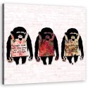 Obraz na płótnie, Banksy Śmiejcie się małpy - 30x30