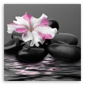 Obraz na płótnie, Kamienie Kwiat Różowy Zen - 30x30