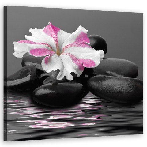 Obraz na płótnie, Kamienie, Kwiat, Różowy, Zen - 30x30