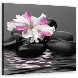 Obraz na płótnie, Kamienie, Kwiat, Różowy, Zen - 50x50