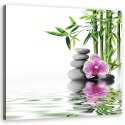 Obraz na płótnie, Orchidea, Zen, Kamienie, Bambus - 30x30