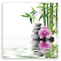 Obraz na płótnie, Orchidea, Zen, Kamienie, Bambus - 50x50