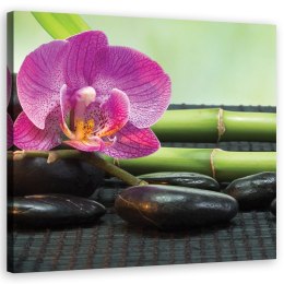 Obraz na płótnie, Orchidea na czarnych kamieniach - 30x30