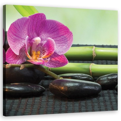 Obraz na płótnie, Orchidea na czarnych kamieniach - 60x60