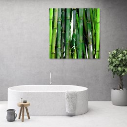 Obraz na płótnie, Zielone bambusy - 50x50