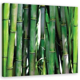 Obraz na płótnie, Zielone bambusy do biura - 40x40