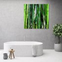 Obraz na płótnie, Zielone bambusy do biura - 50x50