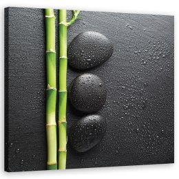 Obraz na płótnie, Bambus i kamienie zen - 30x30