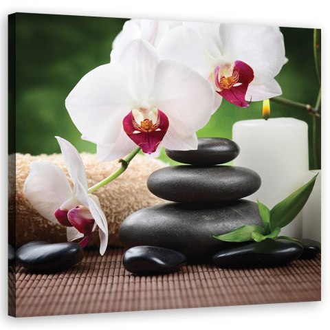 Obraz na płótnie, Orchidee, zen, kamienie - 40x40