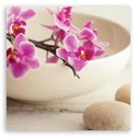 Obraz na płótnie, Różowe orchidee, kwiaty - 50x50