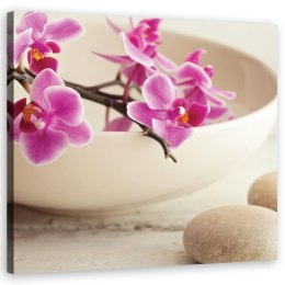 Obraz na płótnie, Różowe orchidee w naczyniu - 40x40