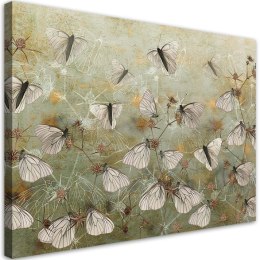 Obraz, Abstrakcyjne motyle na łące - 120x80