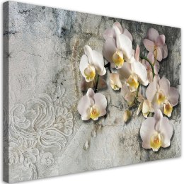 Obraz na płótnie, Słoneczne orchidee kwiaty - 100x70
