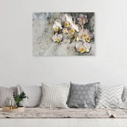 Obraz na płótnie, Słoneczne orchidee kwiaty - 90x60