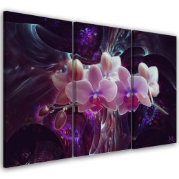 Obraz 3 częściowy na płótnie, Biała orchidea na ciemnym tle - 120x80