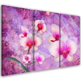 Obraz 3 częściowy na płótnie, Orchidea Kwiaty Abstrakcja - 150x100