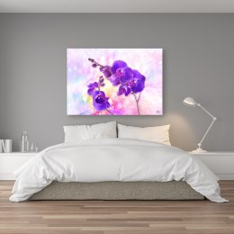 Obraz, Fioletowy kwiat orchidei - 120x80