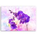 Obraz, Fioletowy kwiat orchidei - 60x40