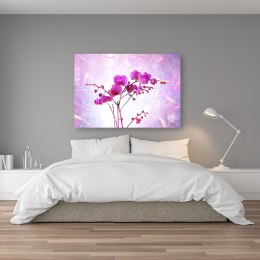 Obraz na płótnie, Eteryczna orchidea - 60x40