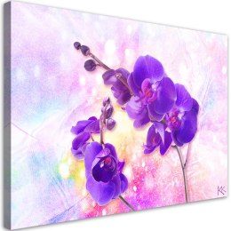 Obraz na płótnie, Fioletowy kwiat orchidei - 120x80