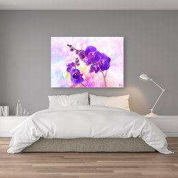 Obraz na płótnie, Fioletowy kwiat orchidei - 60x40