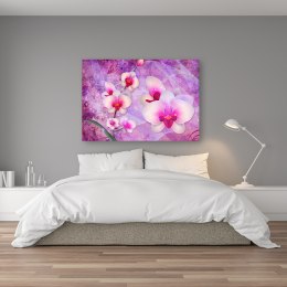 Obraz na płótnie, Orchidea Kwiaty Abstrakcja - 100x70