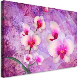 Obraz na płótnie, Orchidea Kwiaty Abstrakcja - 120x80