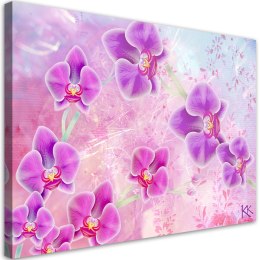 Obraz na płótnie, Orchidea Kwiaty Abstrakcja - 60x40