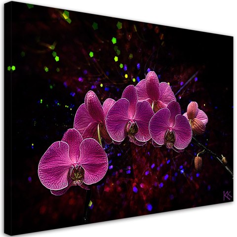 Obraz na płótnie, Orchidea na ciemnym tle - 90x60
