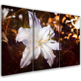 Obraz trzyczęściowy na płótnie, Biała lilia na brązowym tle - 150x100