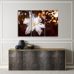 Obraz trzyczęściowy na płótnie, Biała lilia na brązowym tle - 90x60