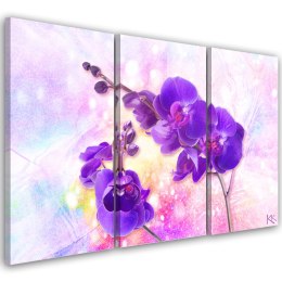 Obraz trzyczęściowy na płótnie, Fioletowy kwiat orchidei - 150x100
